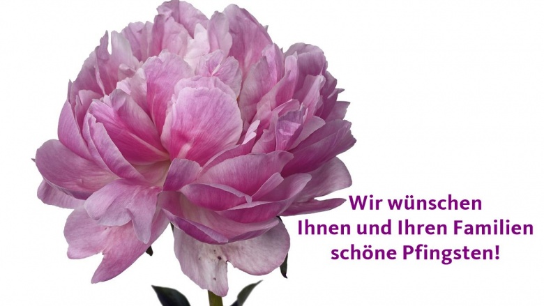 Schöne Pfingsten!