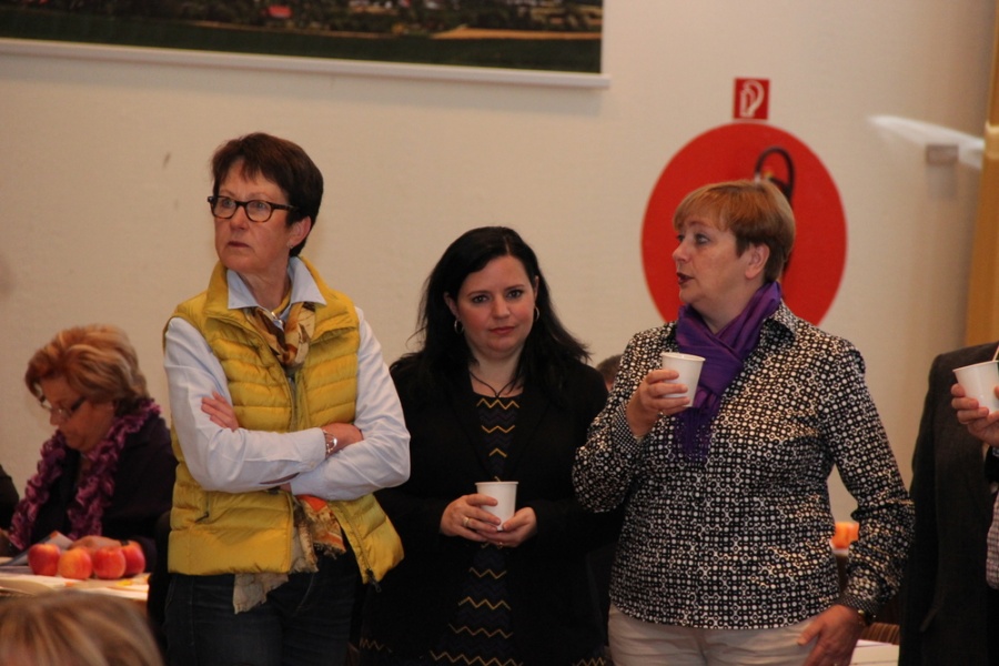 56. Kreisparteitag der CDU Rhein-Sieg in Wachtberg (Oktober 2013)