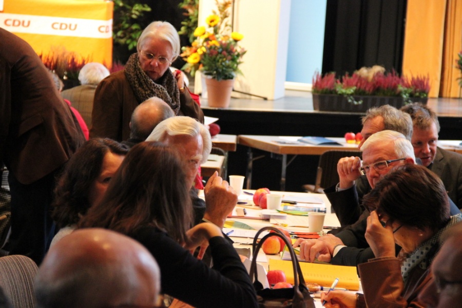 56. Kreisparteitag der CDU Rhein-Sieg in Wachtberg (Oktober 2013)