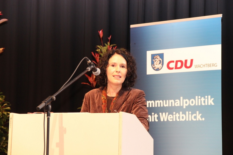 56. Kreisparteitag der CDU Rhein-Sieg in Wachtberg (Oktober 2013)
